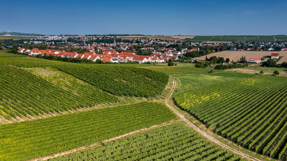 Saulheimer Hölle