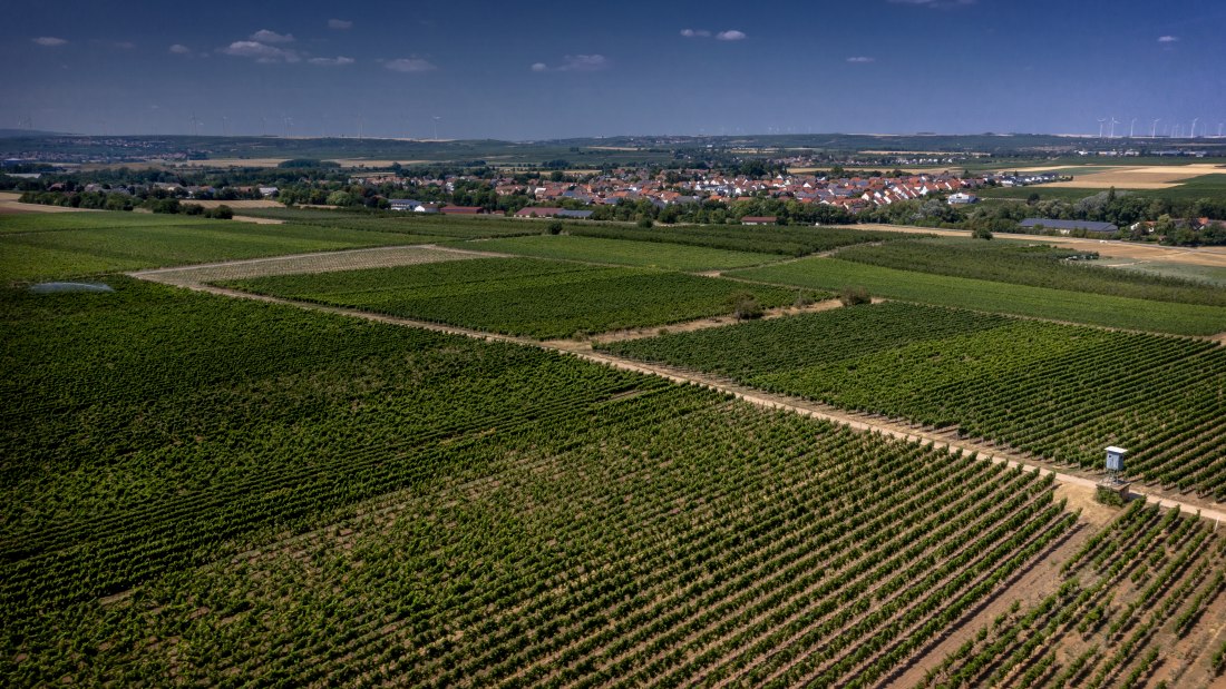 Offsteiner Engelsberg