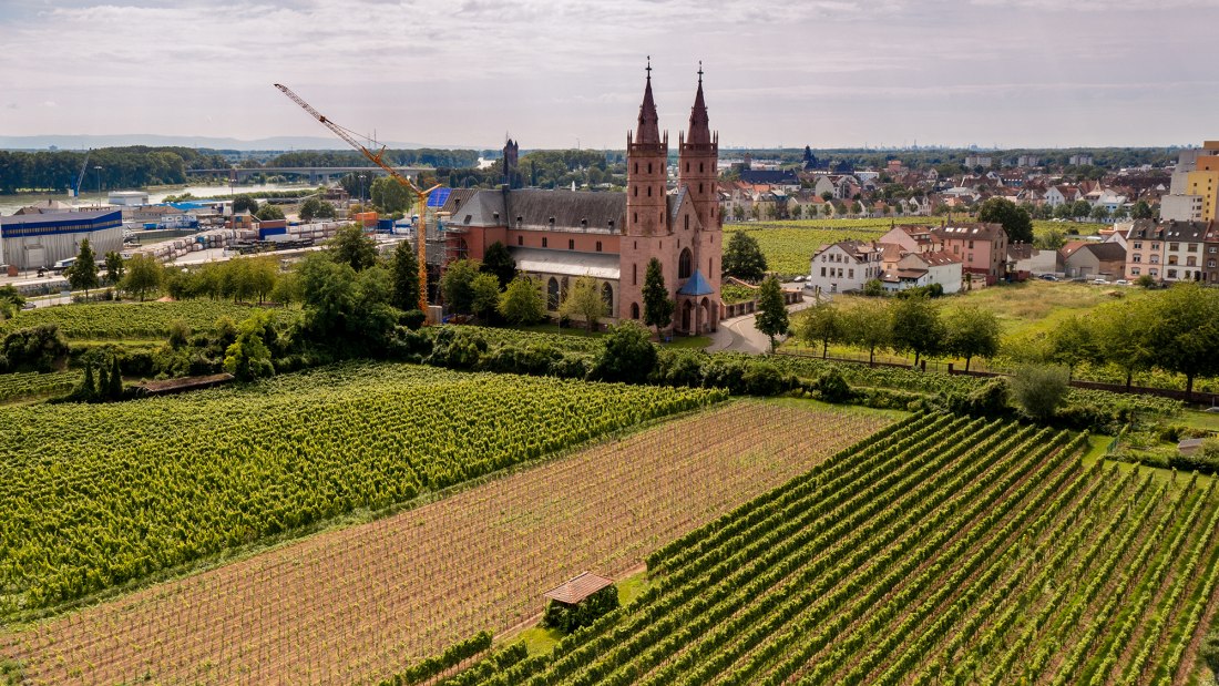 Wormser Liebfrauenstift Kirchenst&uuml;ck