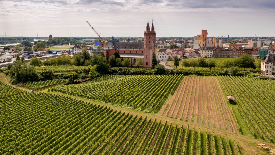 Wormser Liebfrauenstift Kirchenst&uuml;ck