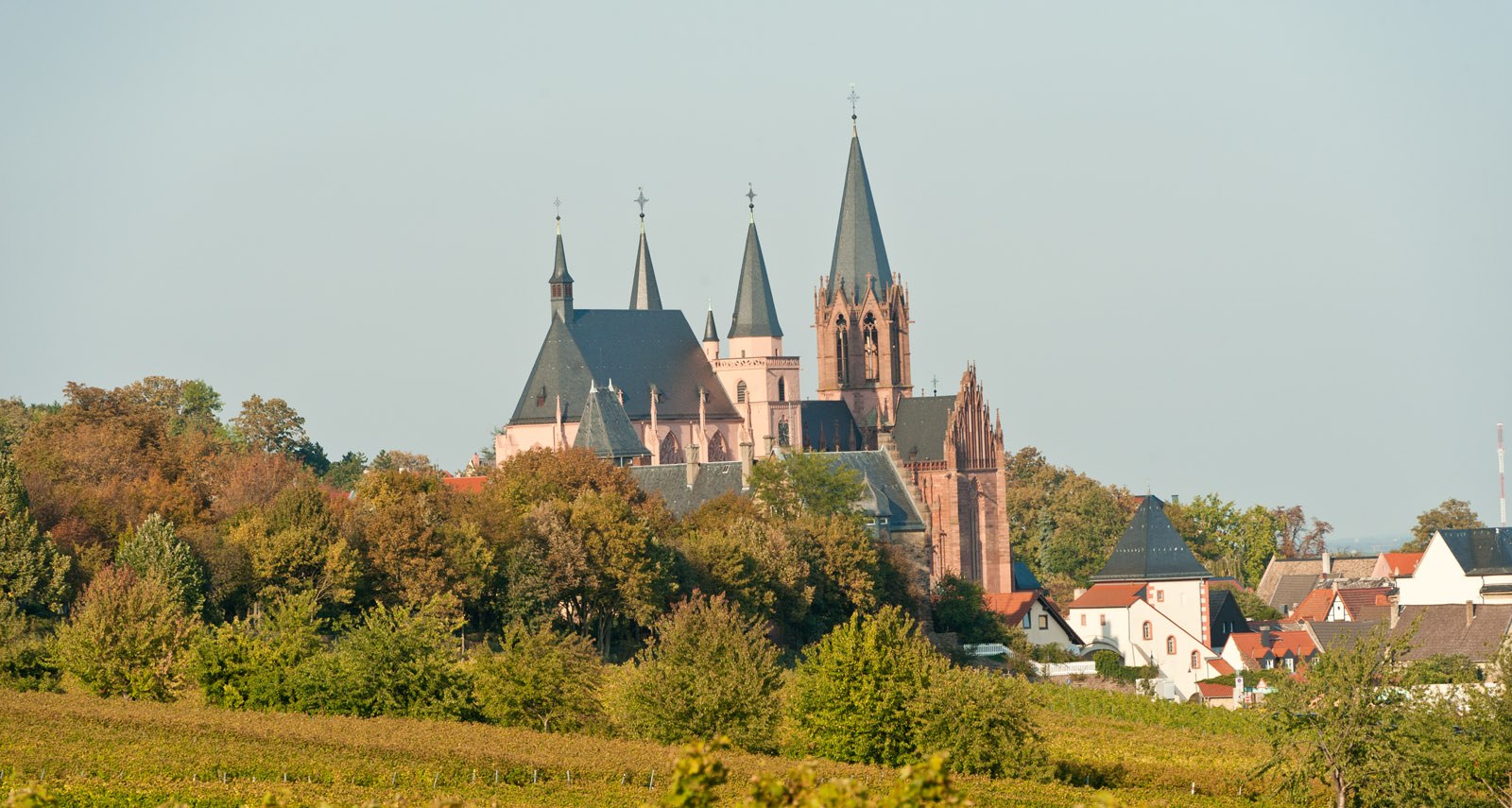 Oppenheim, © Gastlandschaften