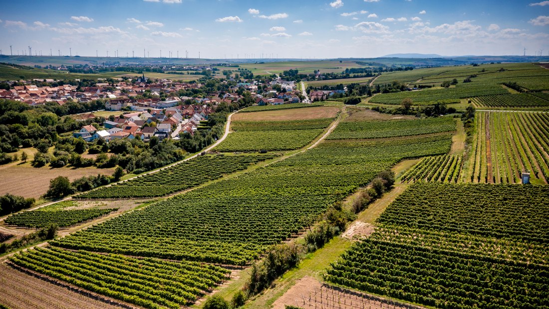 Bechtolsheimer Wingertstor