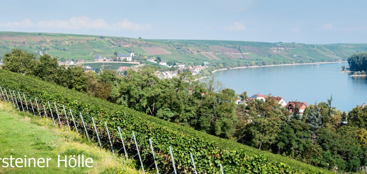 Weingut Eckehart Gr&ouml;hl_Weinlage, &copy; Weingut Eckehart Gr&ouml;hl