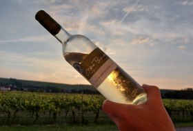 Weingut Otto Becker_bei Sonnenuntergang &copy; Weingut Otto Becker