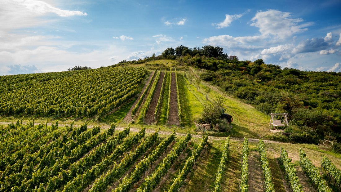 Gau-Odernheimer Herrgottspfad