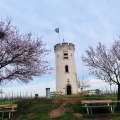 Wartturm Nierstein &copy; Heike Sehlinger