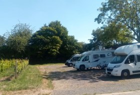 Drei Wohnmobile stehen auf einem Wohnmobilstellplatz zwischen Weinbergen und B&auml;umen