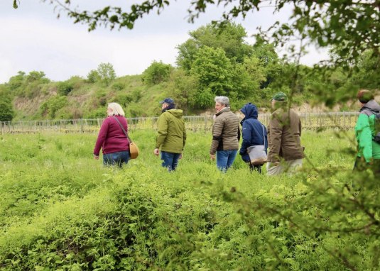 Hiestand Wein & Wandern &copy; Marc Nagel