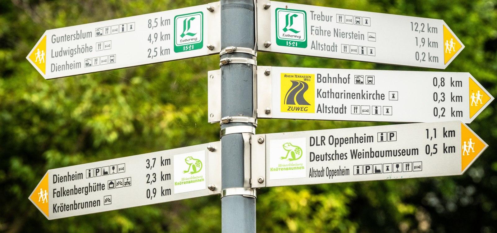 Wegweiser mit Entfernungen zu Nah- und Fernzielen an einem Wanderweg 