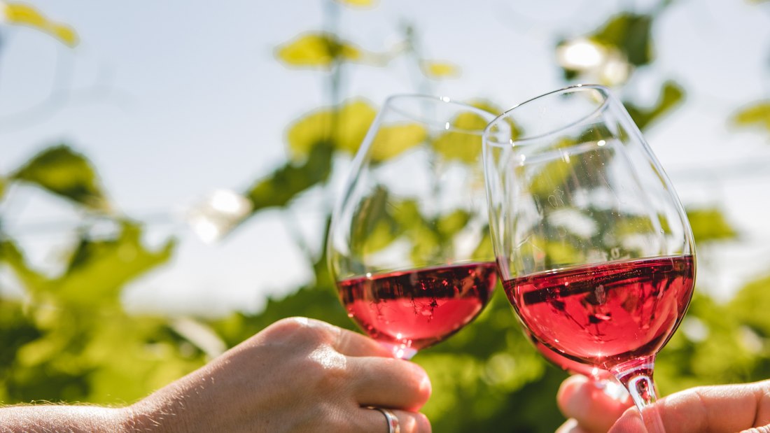 Weingut-Abthof-Juni-2021-DRUCK-117, &copy; Weingut Abthof