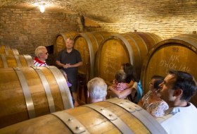 Weingut Helmut Best_Keller © Weingut Helmut Best