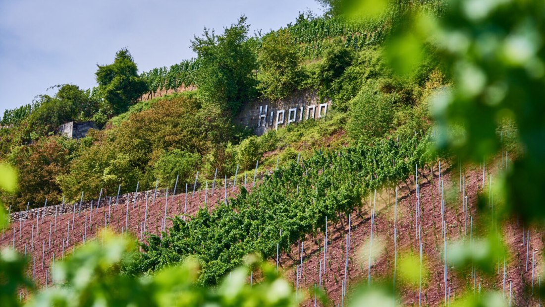 Weingut Manz_Hipping, &copy; Weingut Manz