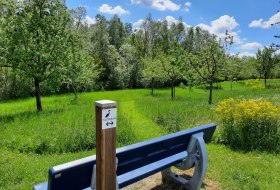 Ruhebank am Via Natura Hahnheim &copy; Heike Sehlinger
