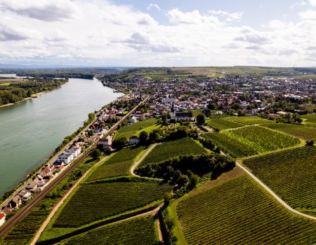 Nierstein_Weinberg