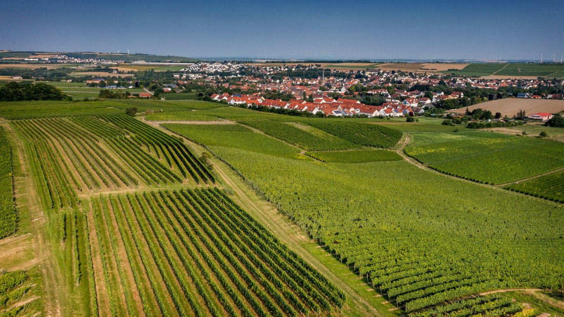 Saulheimer H&ouml;lle