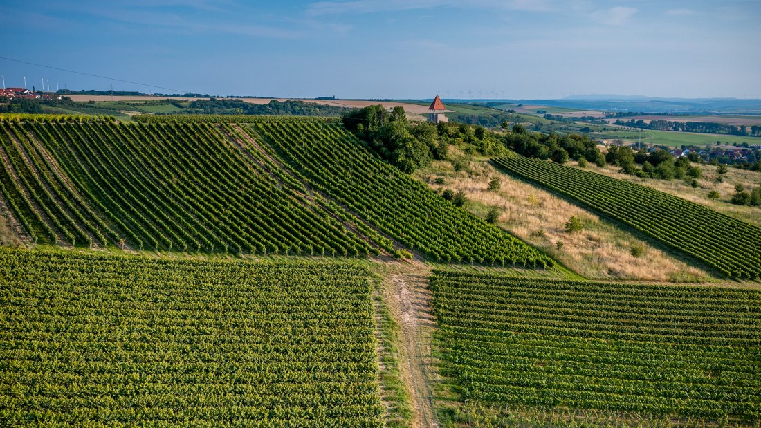 Sulzheimer Schildberg