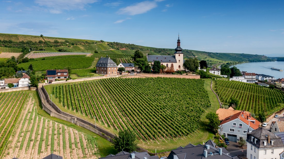 Niersteiner Glöck