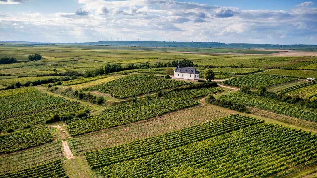 Abenheimer Klausenberg, &copy; Torsten Silz