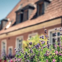 Au&szlig;enbereich Gutsausschank Klein's Vinum &copy; Gutsausschank Klein's Vinum