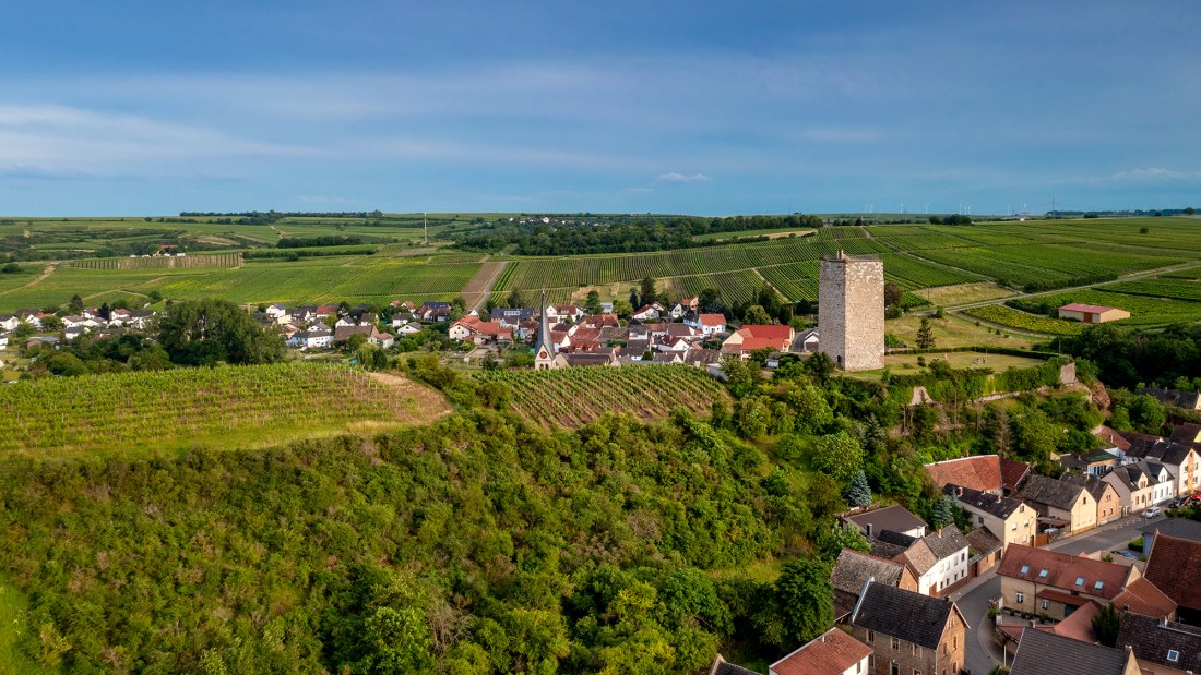 Niersteiner Schloß Schwabsburg