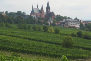 Weinberge, &copy; Weingut Dr. Dahlem