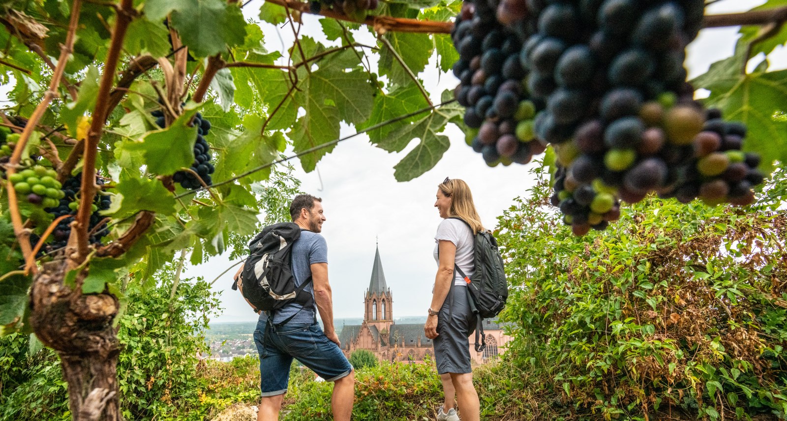 Ein Paar wandert durch die Weinberge und genie&szlig;t dabei den Ausblick auf die Katharinenkirche in Oppenheim., &copy; Dominik Ketz, Rheinhessen-Touristik GmbH