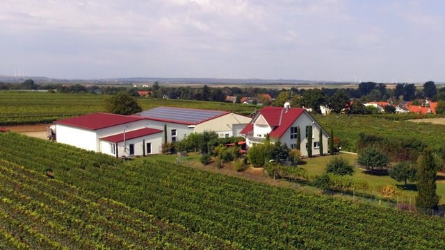 Weingut Kiefer_Weingut, &copy; Weingut Kiefer