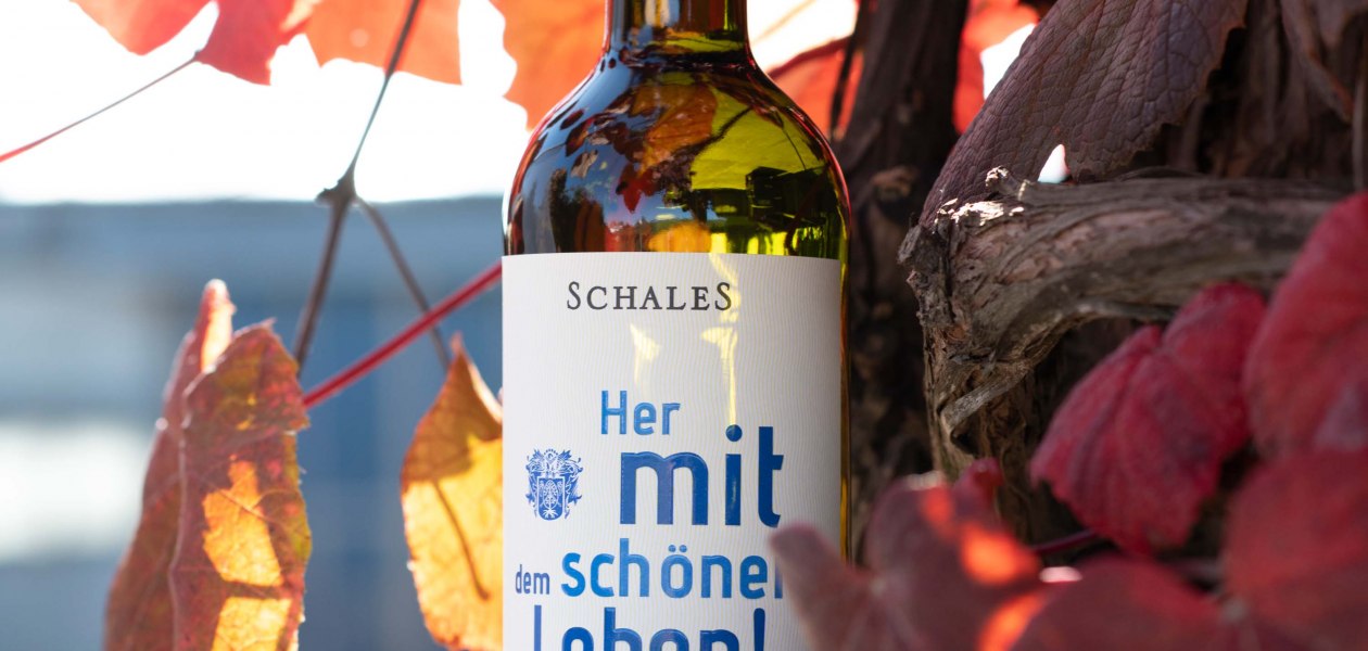 Weingut Schales_Grauburgunder, &copy; Weingut Schales