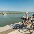 Der Rheinradweg in Rheinhessen &copy; Dominik Ketz