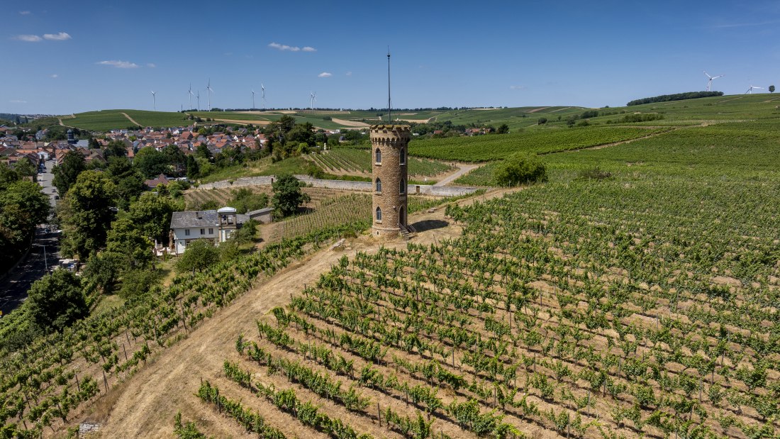 Weinheimer Heiliger Blutberg, © Torsten Silz