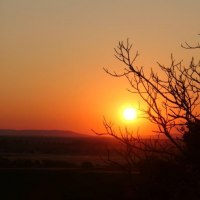 Die Sonne versinkt im Rheintal © Schäffer Weinolsheim