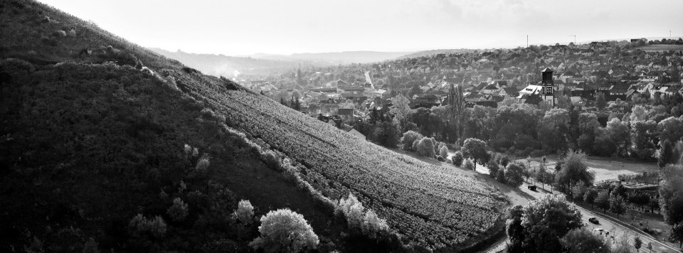 Prinz zu Salm-Dalberg'sches_Johannisberg- Wallhausen - 2, &copy; Prinz zu Salm-Dalberg'sches