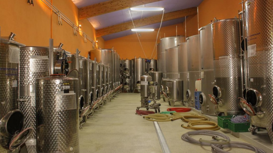 Weingut Rheinterrassenhof_Keller, &copy; Weingut Rheinterrassenhof