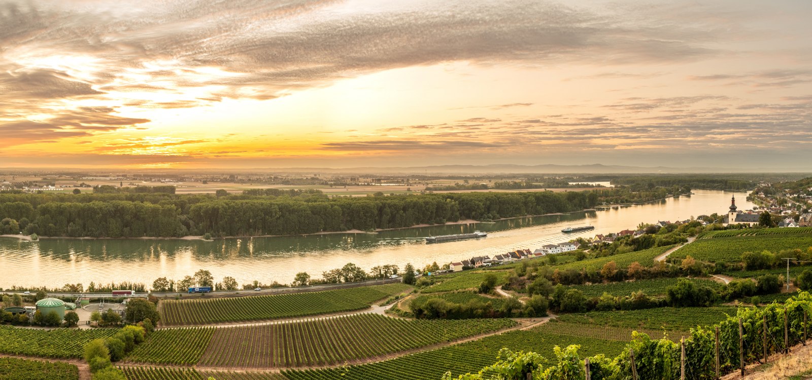 Weitläufige Flusslandschaft mit Weinbergen im Vordergrund und Sonnenuntergang am Himmel