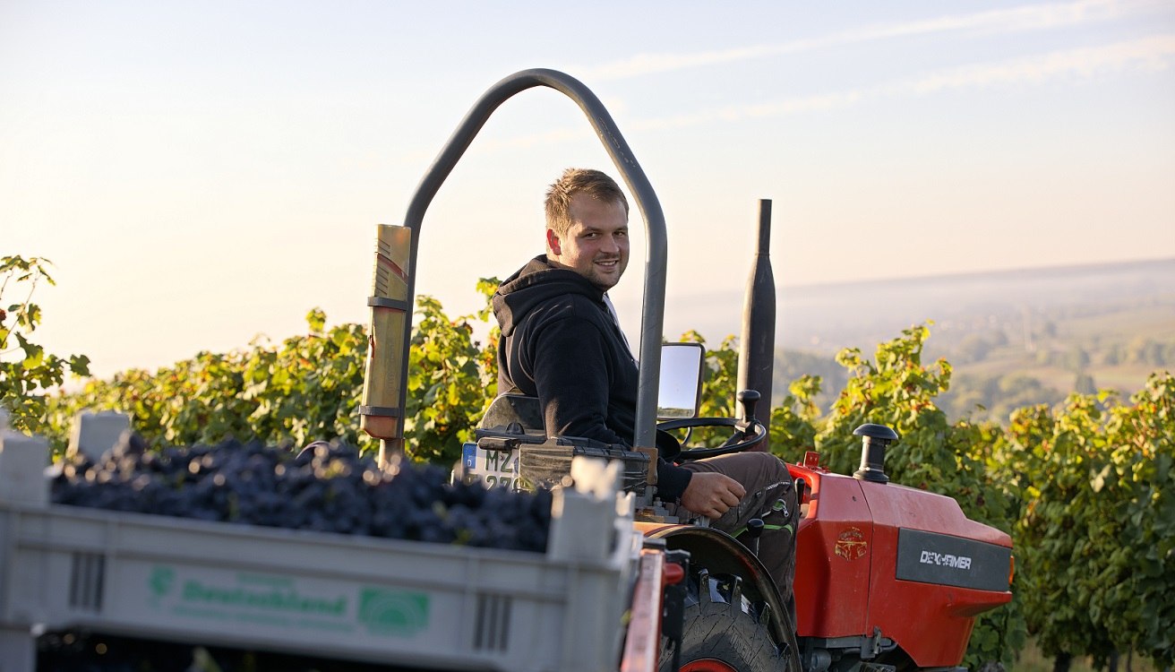Weingut Baum-Barth_Traktor, © Weingut Baum-Barth