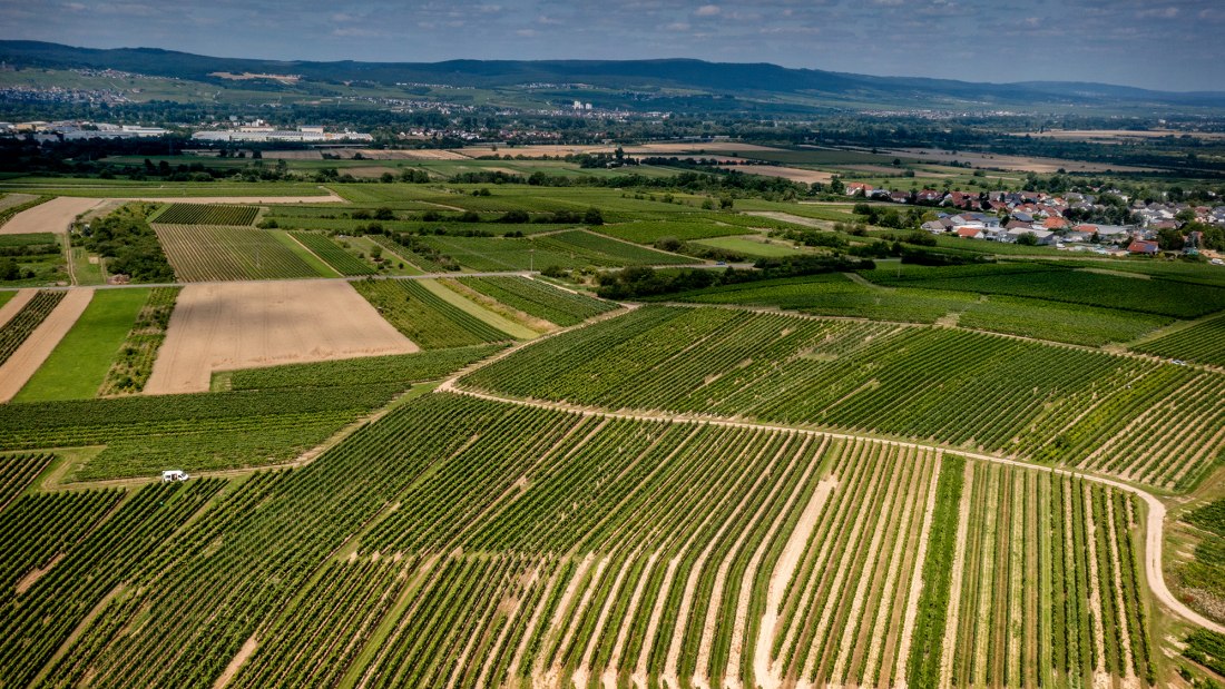 Ockenheimer Hockenm&uuml;hle