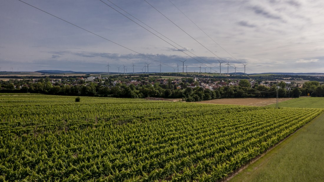 Wallertheimer Vogelsang-DJI_0753, &copy; Rheinhessenwein e.V., Torsten Silz