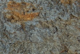 Tonmergel Pelosol &copy; Landesamt f&uuml;r Geologie und Bergbau Rheinland-Pfalz