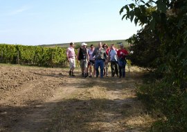Weinbergswanderung, © Weingut Jürgen Bernhard