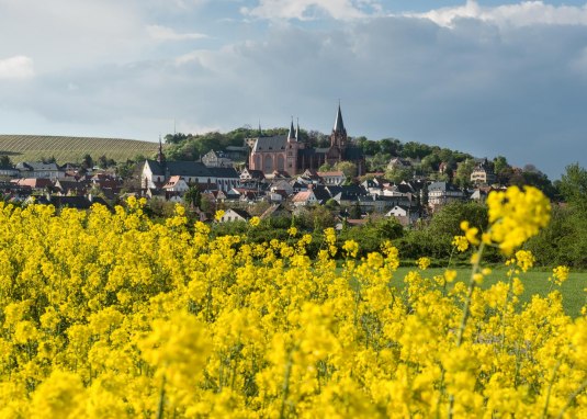 Oppenheimer Frühling © Rainer Ebling Fotografie