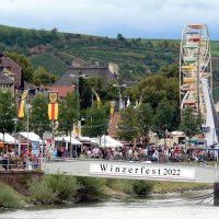Winzerfest &copy; Hans B&uuml;rkle