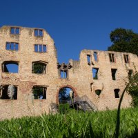 Burgruine Landskron in Oppenheim_2 © Katja Zentel, Rheinhessen-Touristik GmbH
