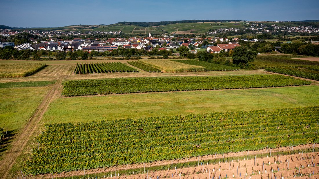 Grolsheimer Ölberg