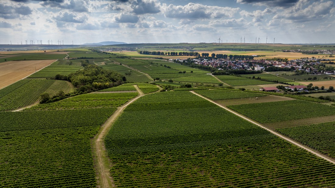 M&ouml;rst&auml;dter Katzebuckel, &copy; Torsten Silz