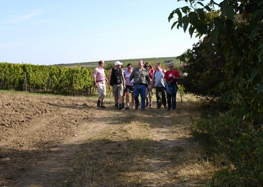 Weinbergswanderung © Weingut Jürgen Bernhard