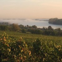 Roter Hang Nierstein © Weingut Schneider Müller