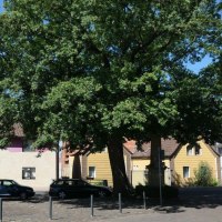 Dorfplatz vor der Ferienwohnung © Schäffer Weinolsheim