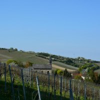 Ausblick Weinberge © Weingut Zimmermann