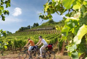 Radeln an der ber&uuml;hmten Weinlage "Roter Hang" &copy; Georg Knoll
