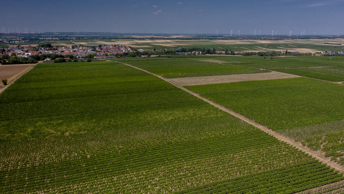 Offsteiner Engelsberg